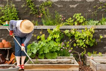 Vegetable Garden Layout Ideas for Space-Savvy Gardeners 