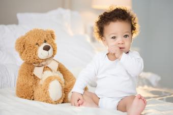 150+ Teddy Bear Names to Match Your Favorite Fluff