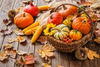 Fall Into Fun With October Trivia Questions & Answers